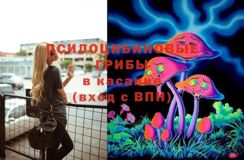 дарнет шоп  Аткарск  Галлюциногенные грибы Psilocybe 